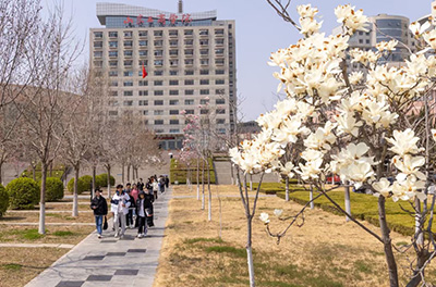 山東工商學院小路