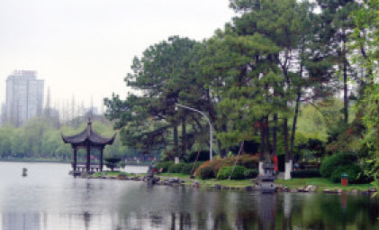 浙江大學(xué)外國(guó)語(yǔ)學(xué)院校園風(fēng)采